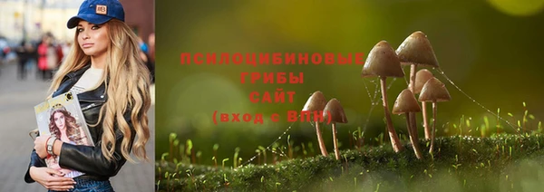 гашиш Приозерск