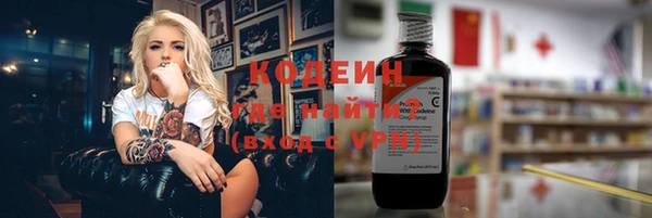 хмурый Щигры