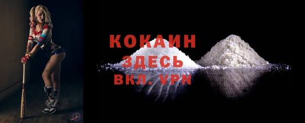 2c-b Заводоуковск