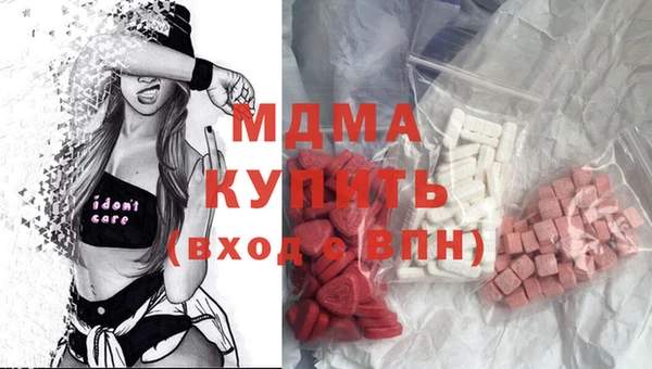 хмурый Щигры