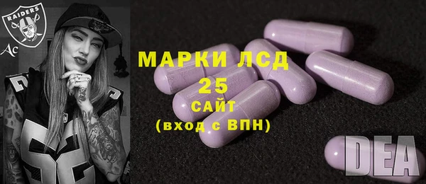индика Нефтегорск
